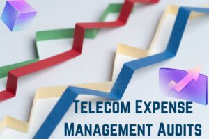 Telecom Expense Management Audits