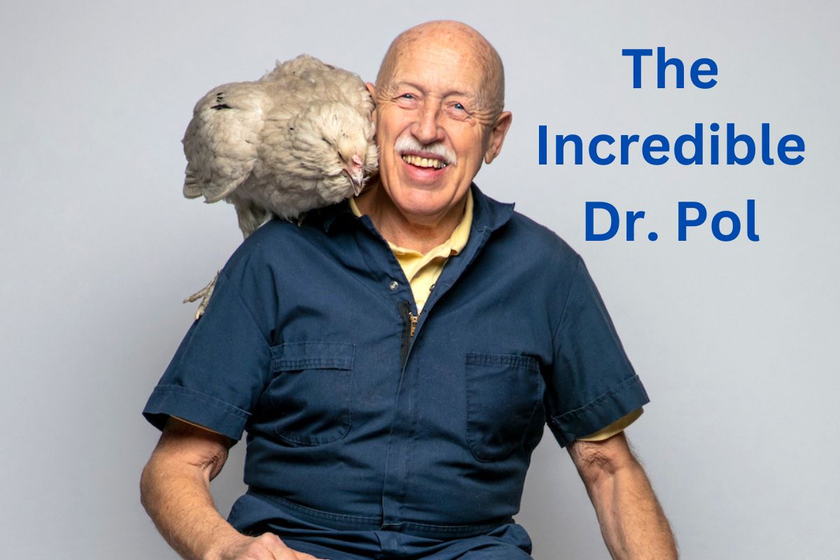 Vet Shows on TV