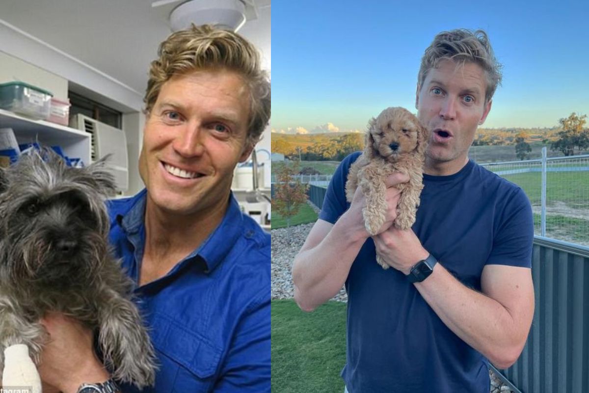  Vet Shows on TV