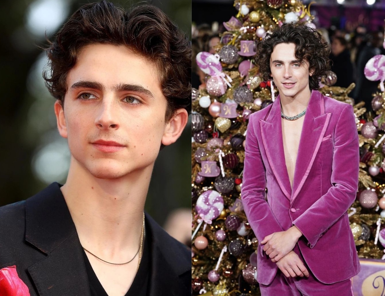 Timothee Chalamet