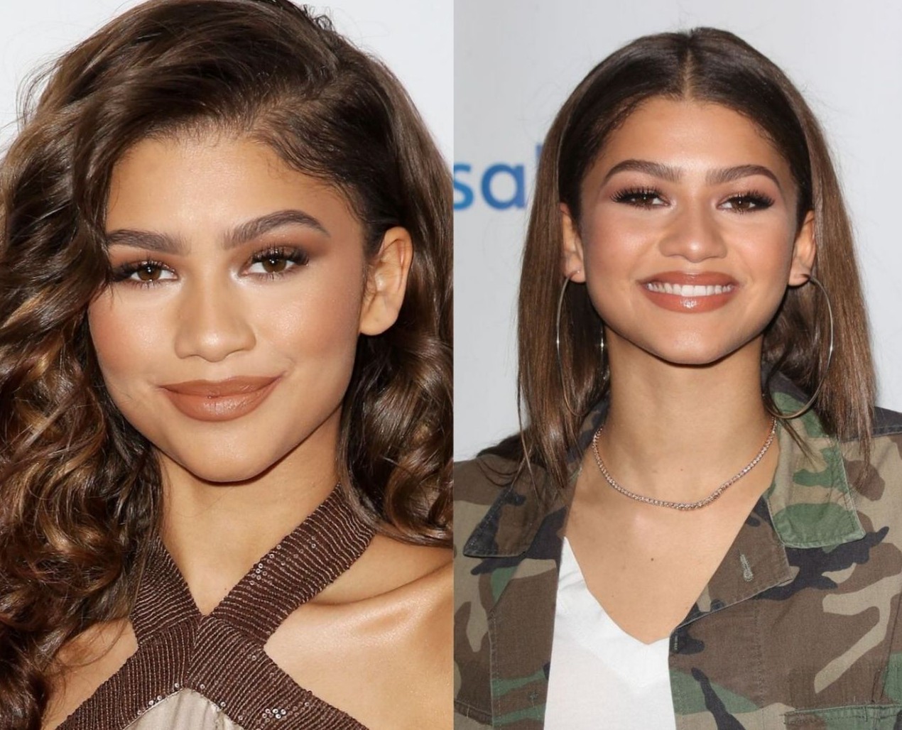 Zendaya Lifestyle